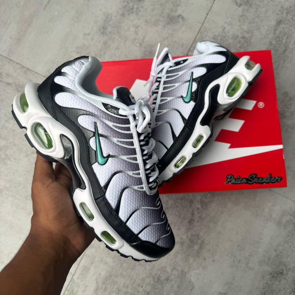 TN Negro Blanco